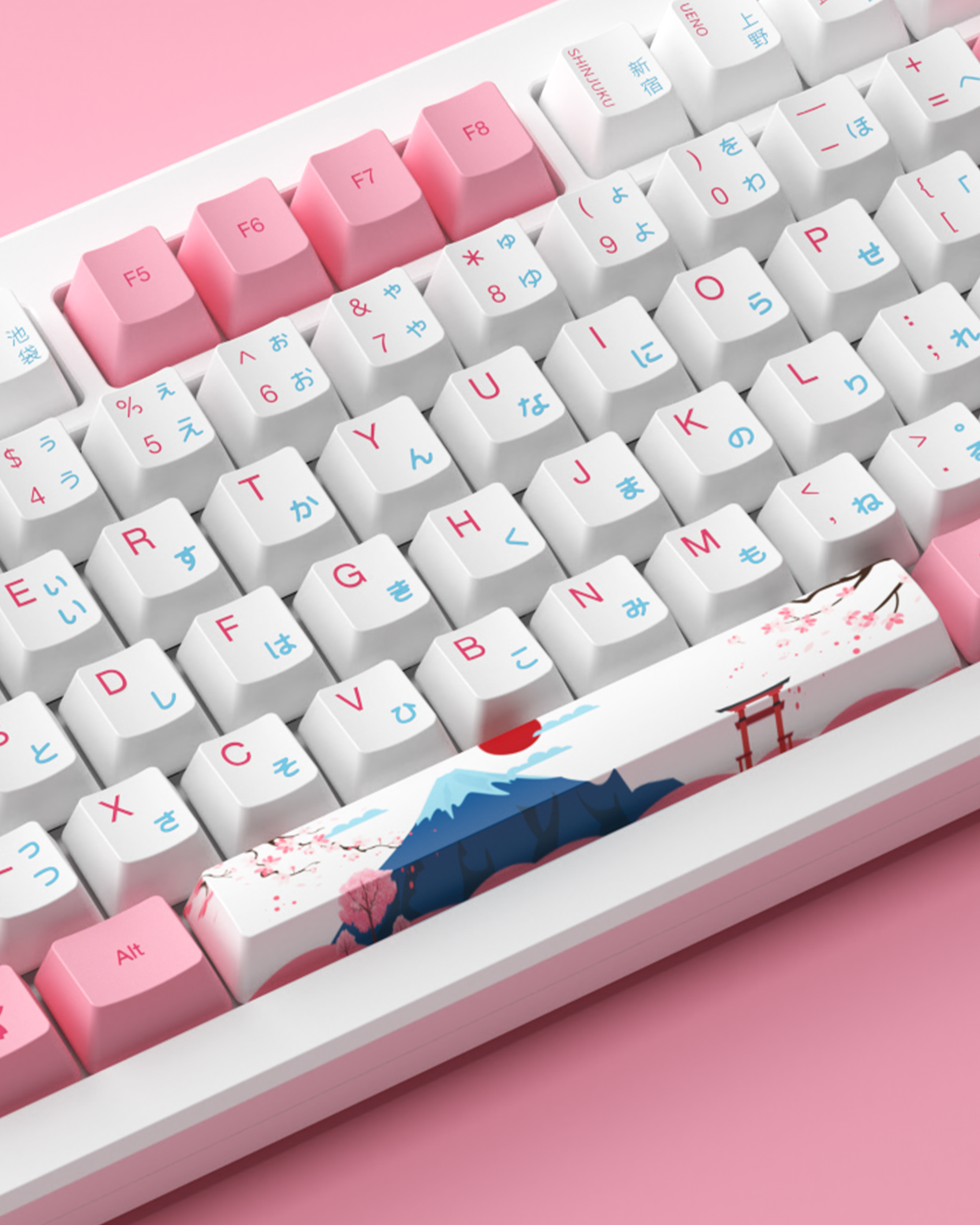 AKKO MOD007B PC Tokyo 8K Hz