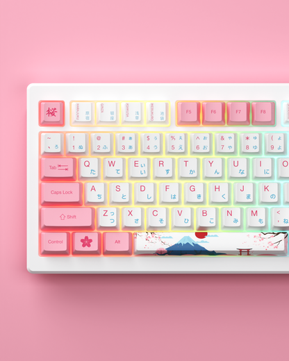 AKKO MOD007B PC Tokyo 8K Hz