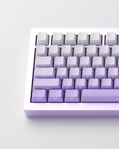 Monsgeek M1W HE