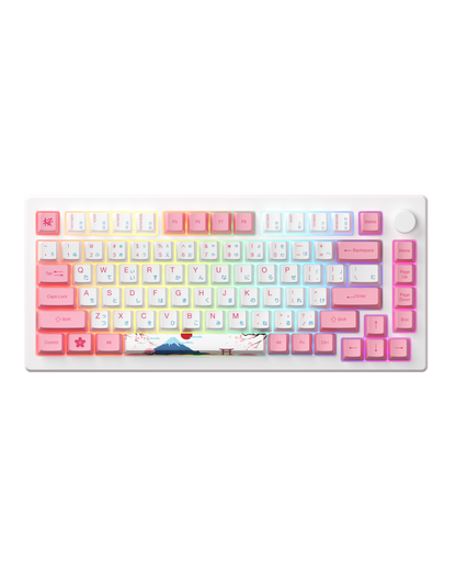 AKKO MOD007B PC Tokyo 8K Hz