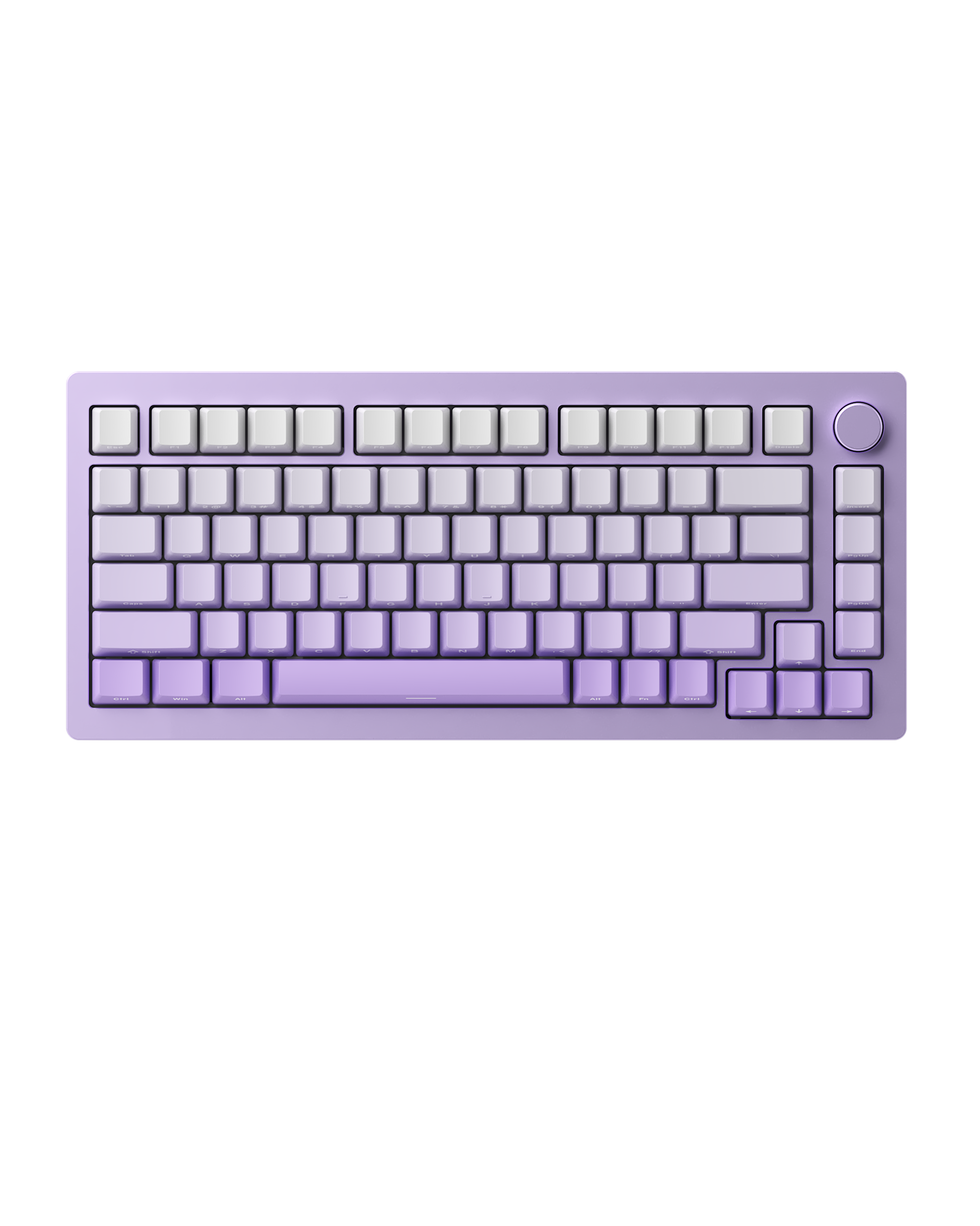 Monsgeek M1W HE Side-Printed