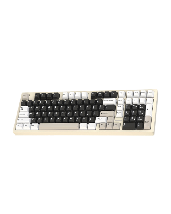 T100