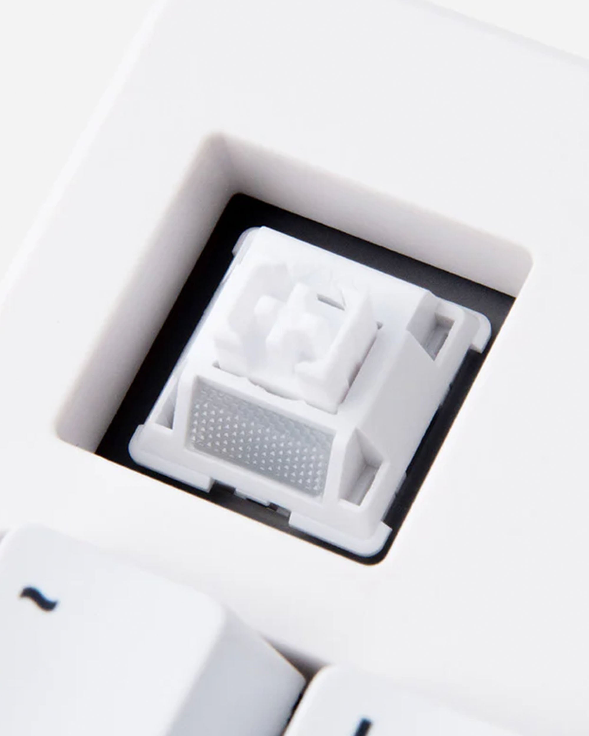Loga Series Switch