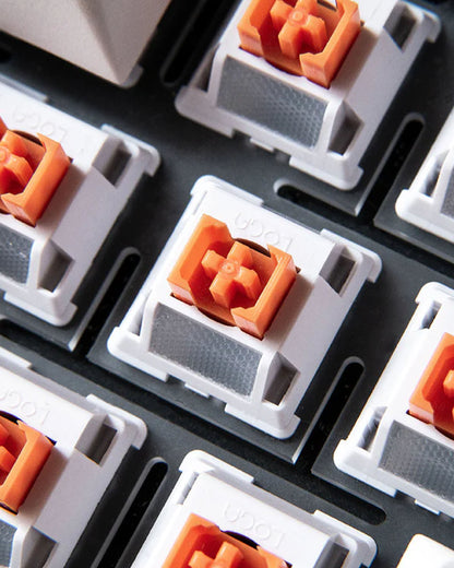 Loga Series Switch