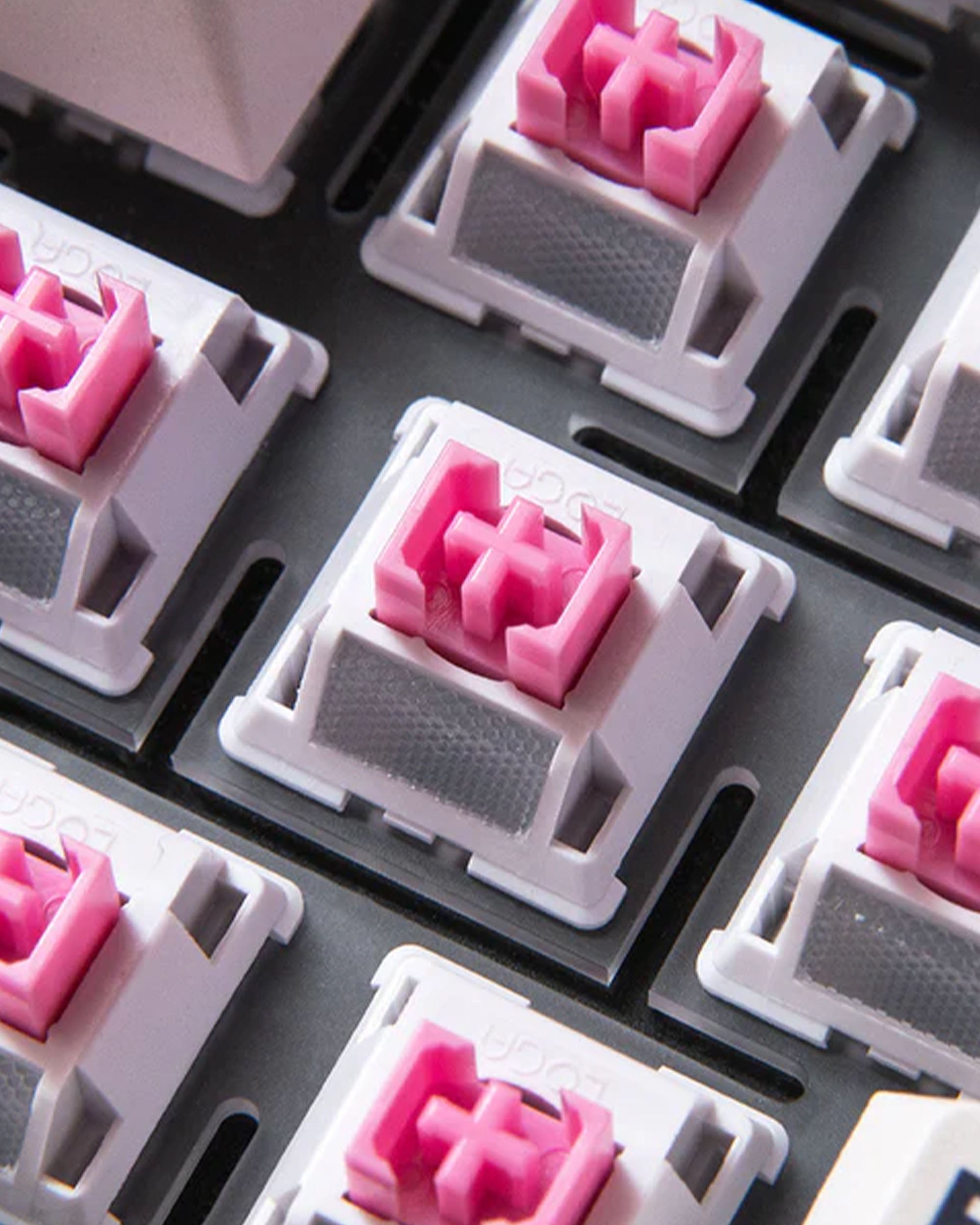 Loga Series Switch