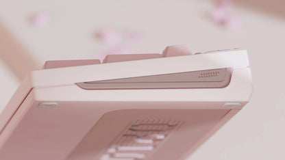 [In-Stock] Ticktype DP104