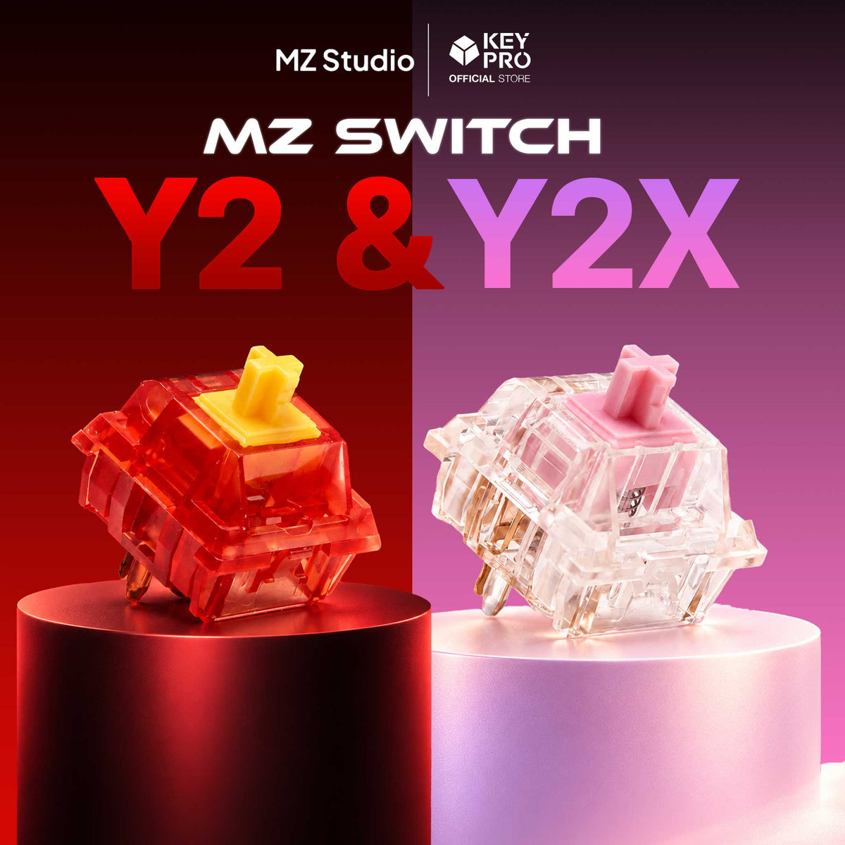 MZ Y2 -Linear Switch